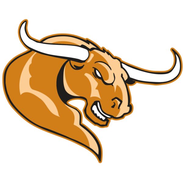 AR BULL 14 RC Thumbnail